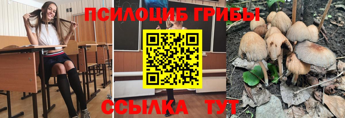 Галлюциногенные грибы MAGIC MUSHROOMS  Вход с VPN  Галлюциногенные грибы ЛСД  Белогорск 