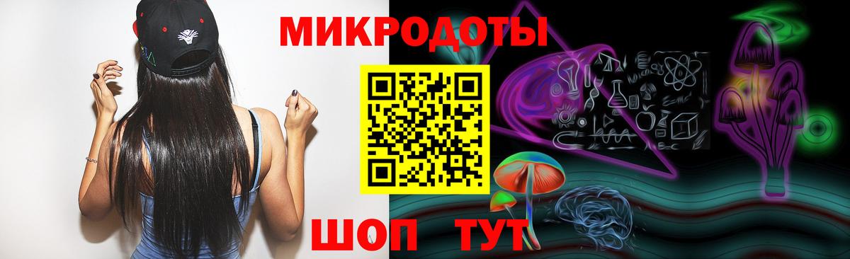 Галлюциногенные грибы Psilocybe Белогорск